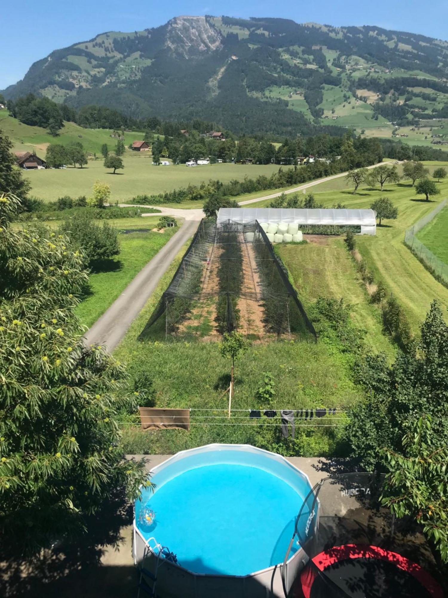 Hirschfarm, Goldau Bed & Breakfast Екстериор снимка