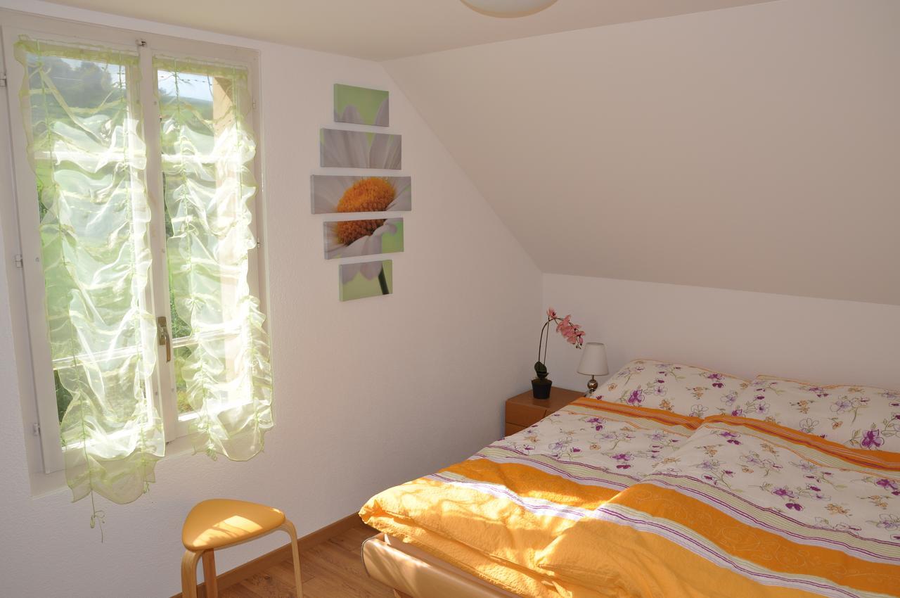 Hirschfarm, Goldau Bed & Breakfast Екстериор снимка